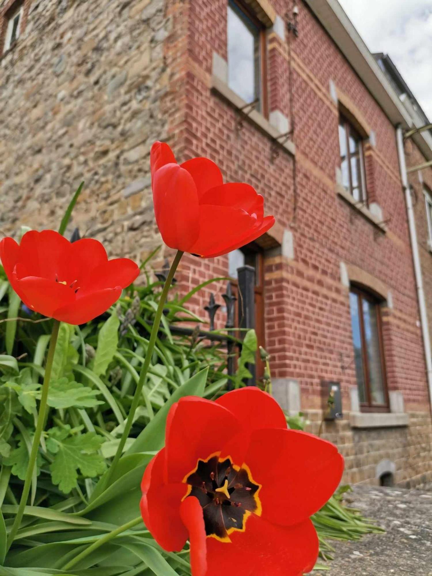Hostal L'Echappee Belle Aywaille Exterior foto